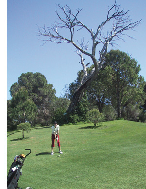 Golfplatz Belek - Türkei
